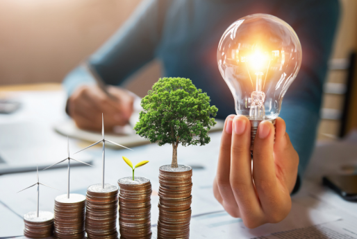 How to Choose the Right Sustainability Advisor